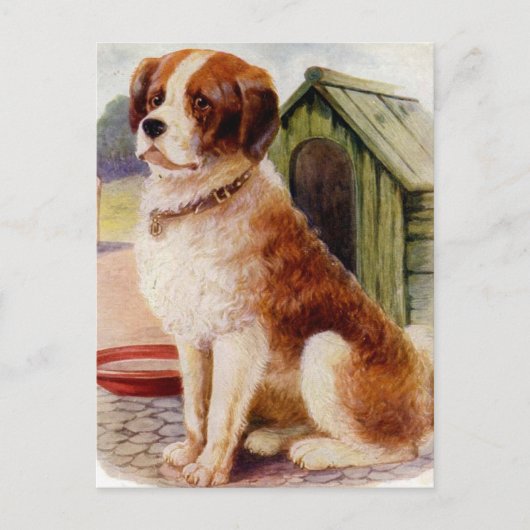 Saint Bernard Briefkaart (Voorkant)