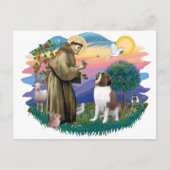 Saint Bernard Briefkaart (Voorkant)