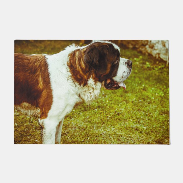 Saint Bernard. Deurmat (Voorkant)
