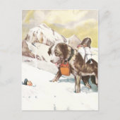 Saint Bernard Dog aan de redding Briefkaart (Voorkant)