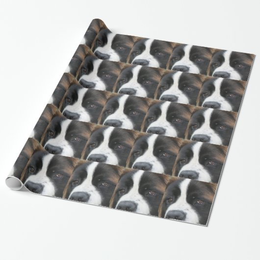 Saint Bernard Dog Cadeaupapier (Uitgerold)