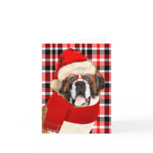 Saint Bernard Dog en Red Pset met Kerstmis