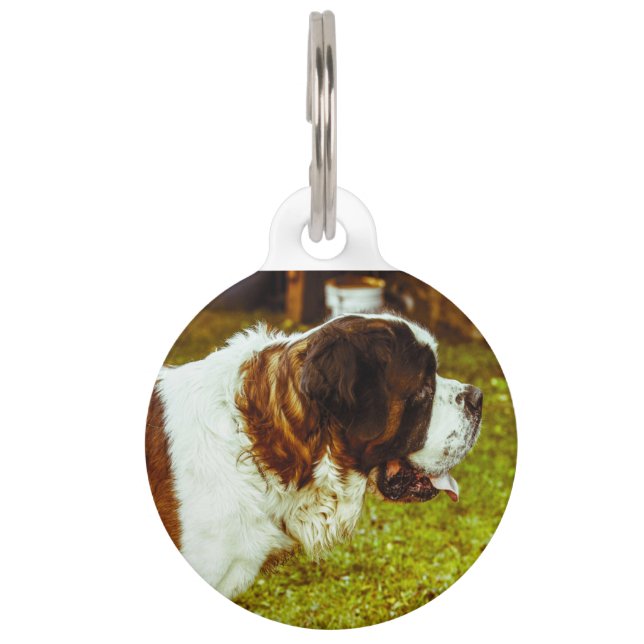Saint Bernard Dog. Huisdierpenning (Voorkant)