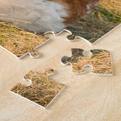 Saint Bernard dog in the sunset Legpuzzel (Zijkant)