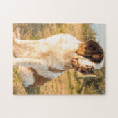 Saint Bernard dog in the sunset Legpuzzel (Horizontaal)