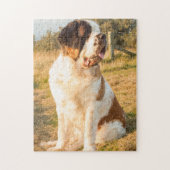 Saint Bernard dog in the sunset Legpuzzel (Verticaal)