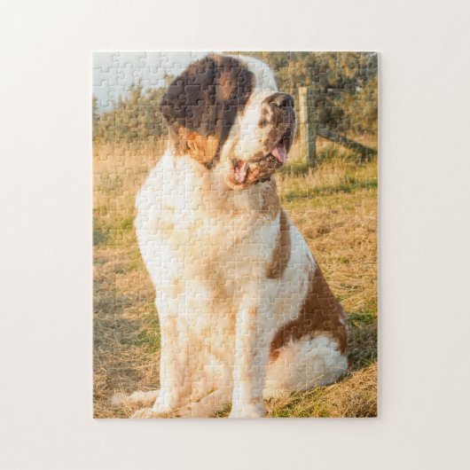 Saint Bernard dog in the sunset Legpuzzel (Verticaal)