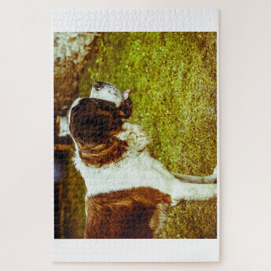 Saint Bernard Dog Jigsaws. Legpuzzel (Verticaal)