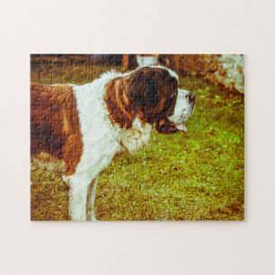 Saint Bernard Dog Jigsaws. Legpuzzel
