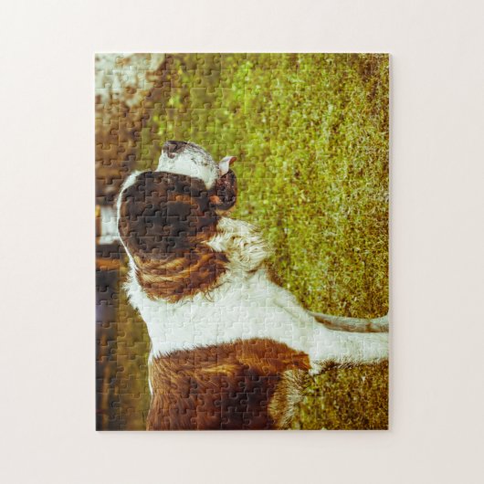 Saint Bernard Dog Jigsaws. Legpuzzel (Verticaal)