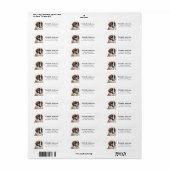 Saint Bernard Dog Retour Adreslabels Etiket (Full Sheet)