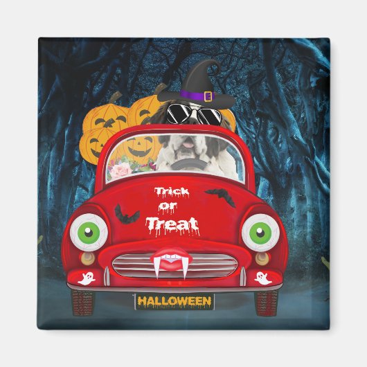 Saint Bernard Dog-rijdende auto's Scary Halloween Magneet (Voorkant)