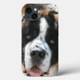 Saint Bernard Face iPhone 13 Hoesje