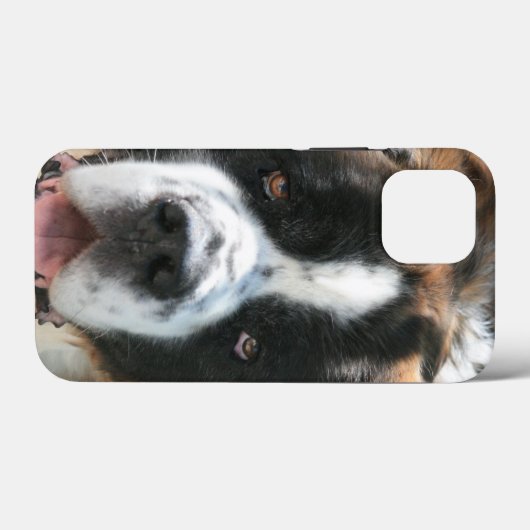 Saint Bernard Face Case-Mate iPhone Case (Achterkant (horizontaal))