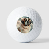 Saint Bernard Golfballen (Voorkant)