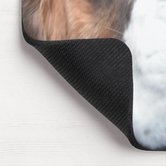 SAINT BERNARD JAKE MOUSEPAD 3 MUISMAT (Hoek)