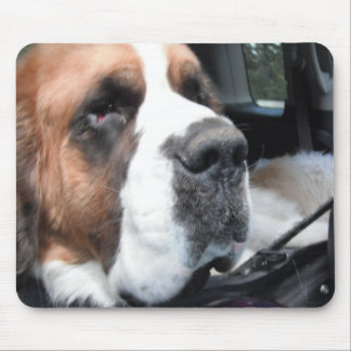 SAINT BERNARD JAKE MOUSEPAD 3 MUISMAT