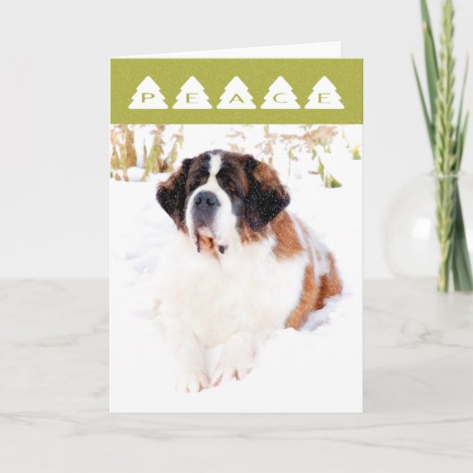 Saint Bernard-kerstkaart Feestdagen Kaart (Voorkant)