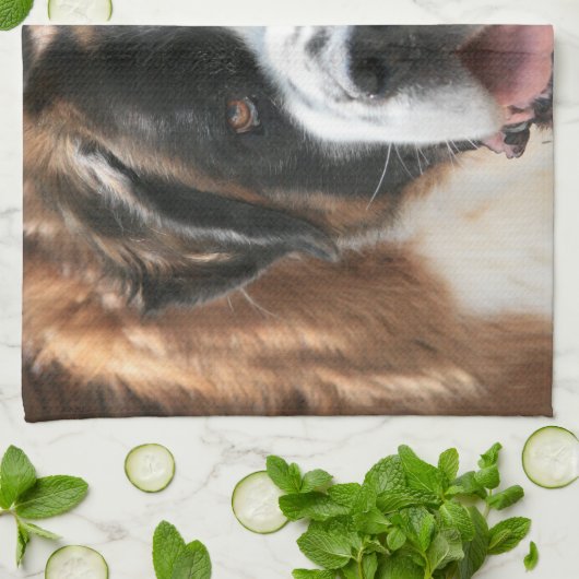 Saint Bernard Kitchen Towel Theedoek (Gevouwen)