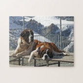 Saint Bernard Legpuzzel (Horizontaal)