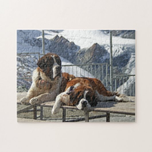 Saint Bernard Legpuzzel (Horizontaal)