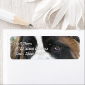 Saint Bernard Mailing Label (Insitu)