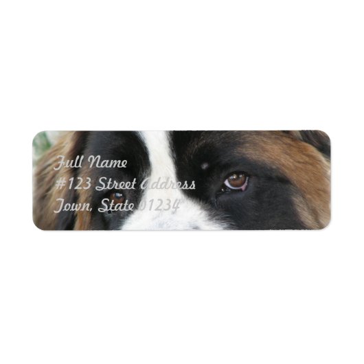 Saint Bernard Mailing Label (Voorkant)