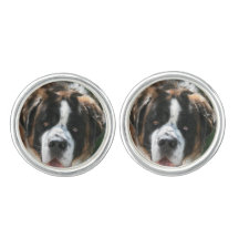 Saint Bernard