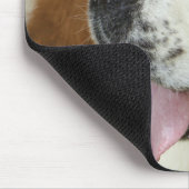 Saint Bernard Muispad Muismat (Hoek)