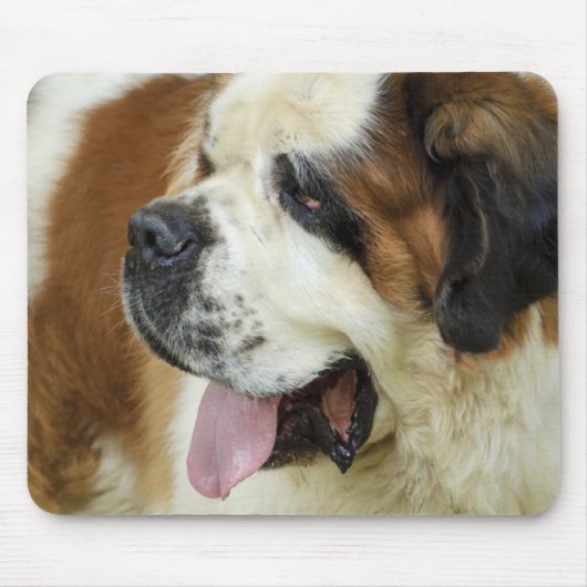 Saint Bernard Muispad Muismat (Voorkant)