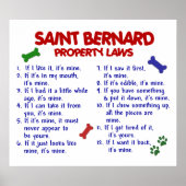 SAINT BERNARD PL2 POSTER (Voorkant)