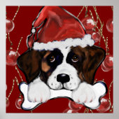 Saint Bernard Poster (Voorkant)