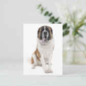 Saint Bernard Puppy Dog Blank Briefkaart (Staand voorkant)