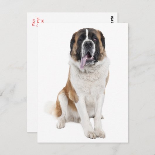 Saint Bernard Puppy Dog Blank Briefkaart (Voorkant / Achterkant)