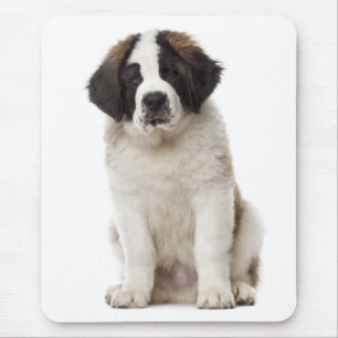 Saint Bernard Puppy Dog Love St. Bernard Muismat