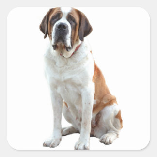 Saint Bernard Puppy Dog Sticker / Label