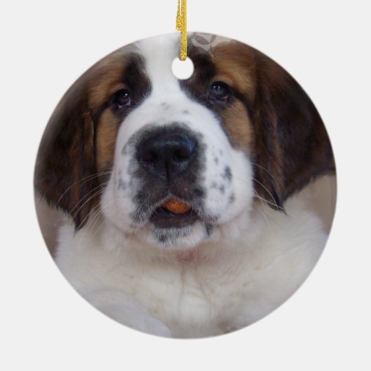 Saint Bernard Puppy Ornament (Achterkant)