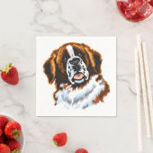 saint bernard servet (Insitu)