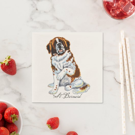 saint bernard servetten (Insitu)