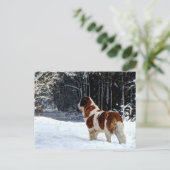 Saint Bernard snow photographic Christmas greeting Feestdagenkaart (Staand voorkant)