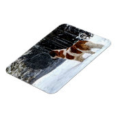 Saint Bernard snow photographic Christmas greeting Magneet (Linkerzijde)