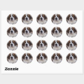 Saint Bernard-Sticker Ronde Sticker (Vel)