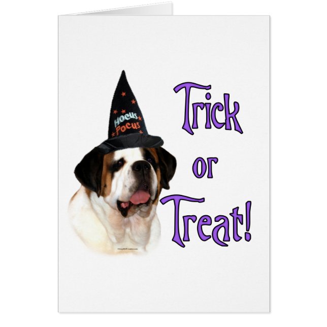 Saint Bernard Trick (Voorkant)