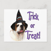 Saint Bernard Trick Briefkaart (Voorkant)