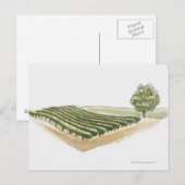 Saint-Emilion, Frankrijk Briefkaart (Voorkant / Achterkant)