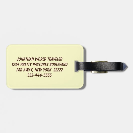 Saint Francis Bagagelabel (Achterkant horizontaal)