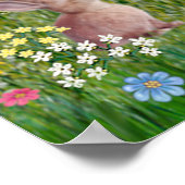 Saint Francis Blessing Ten Dogs Poster (Hoek)