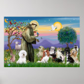 Saint Francis Blessing Ten Dogs Poster (Voorkant)