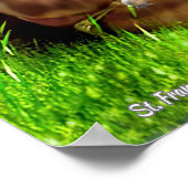 Saint Francis en de preaches van de vogels Poster (Hoek)