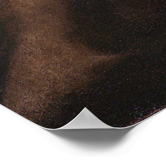 Saint Francis in Prayer - Caravaggio Poster (Hoek)